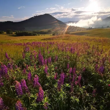 3 Peaks Sokolowsko