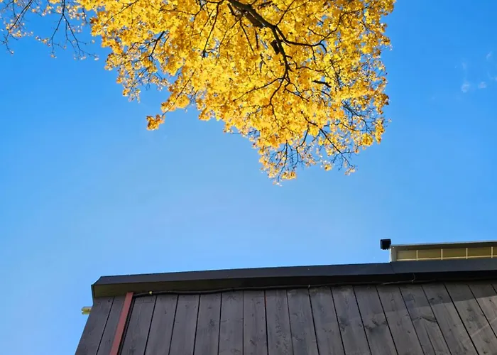 3 Peaks - Caloroczne Chalé *